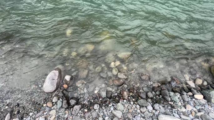 原始森林小溪石头流水