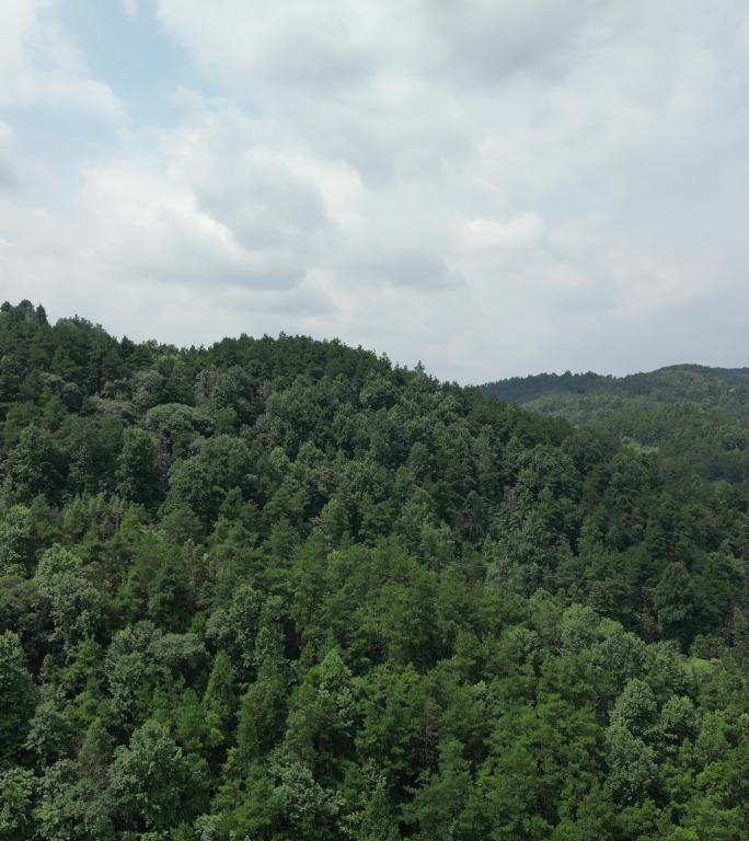 湘西大山风景