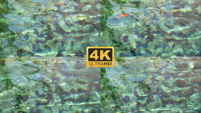 【4K】清澈的泉水 波光粼粼 唯美空镜