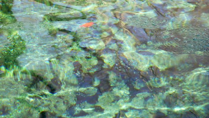 【4K】清澈的泉水 波光粼粼 唯美空镜