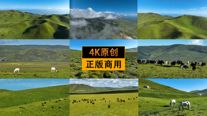 新疆大草原牧场4K航拍