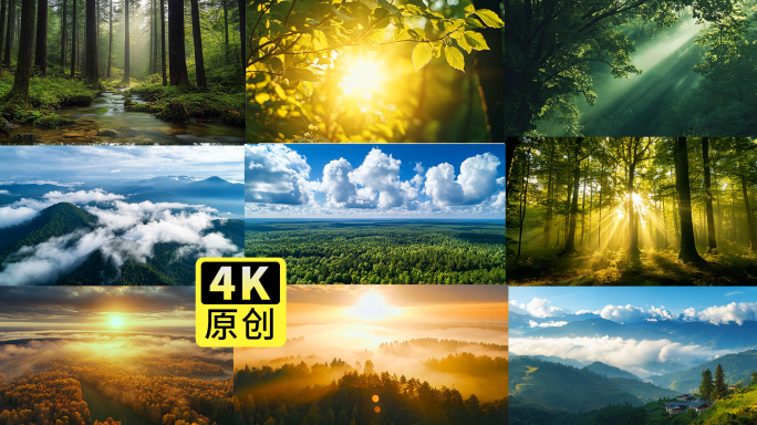 大自然植被原始森林航拍大山