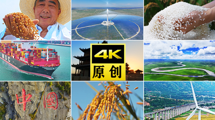 农业乡村振兴小麦农村水稻丰收乡村农业种子