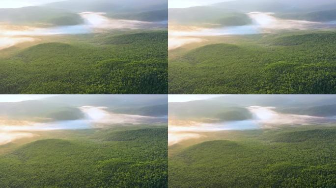 航拍黎明绿色林海云雾缭绕24813-14