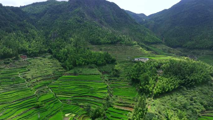 原始村落梯田