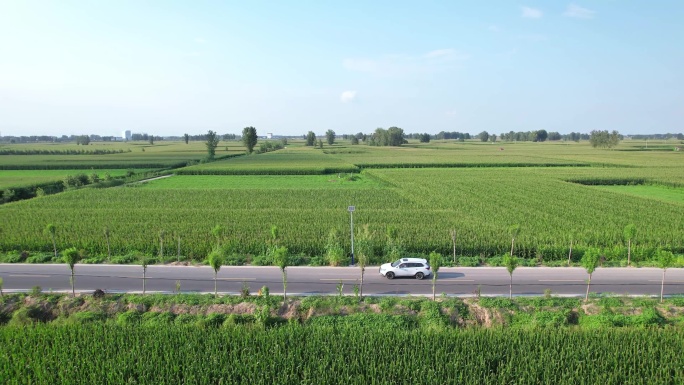 汽车行驶在乡间小路上