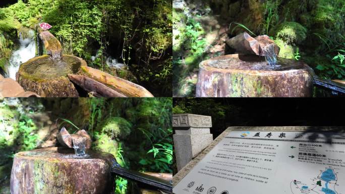 牟尼沟里的益寿泉流淌的山泉水4K
