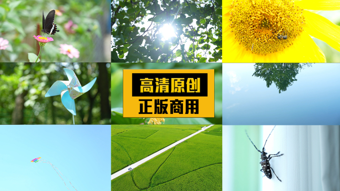 夏天唯美小清新空镜头 处暑 立夏 夏至