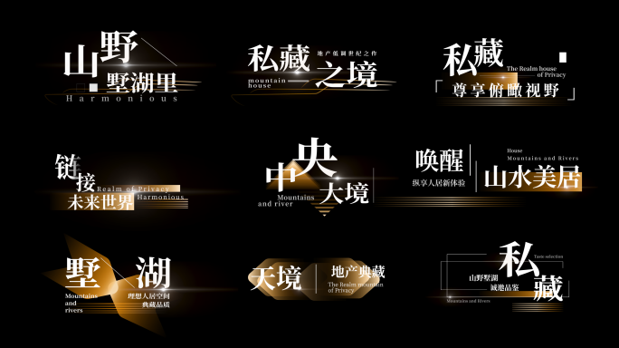高端质感金色字幕条2