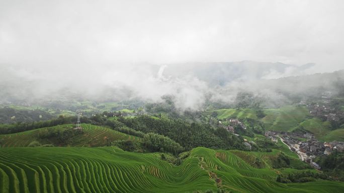 晨曦梯田雨后 龙脊梯田