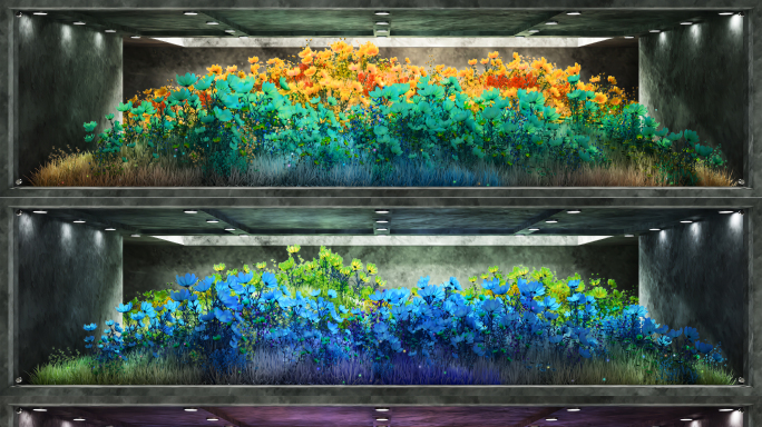 裸眼3D花草植物生长宽屏花海动态视觉