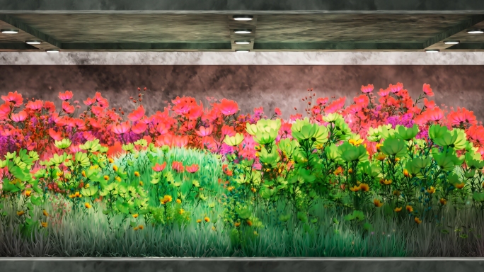 裸眼3D花草植物生长宽屏花海动态视觉