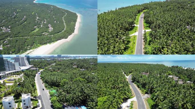 4K|航拍海南东郊椰林合集