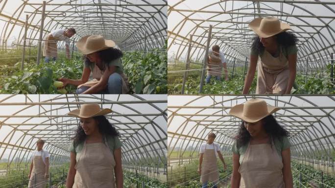温室里的男女工人在检查植物