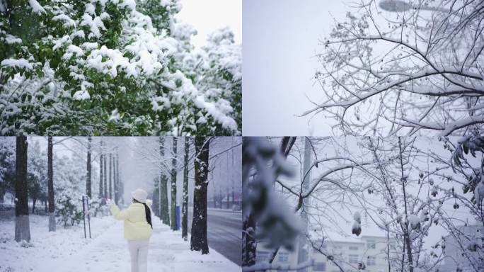 冬天雪景枯树枝树叶道路背影下雪