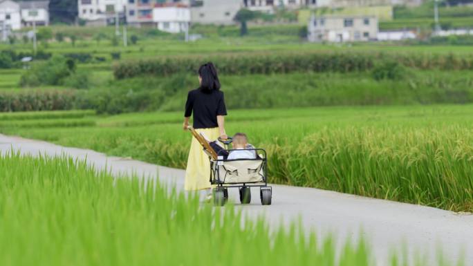 乡村稻田文化休闲周末旅游
