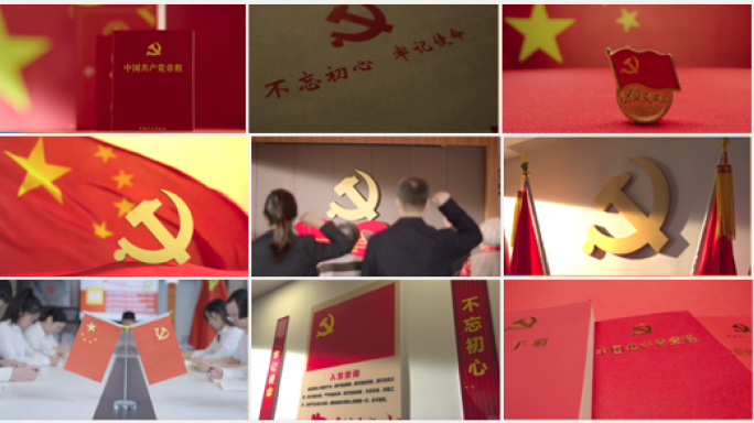 党徽 党旗 旗帜 入党宣誓