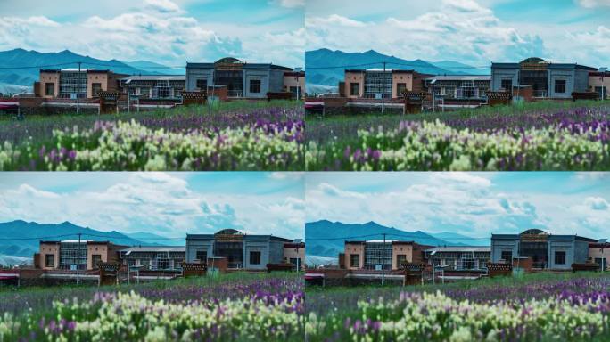 夏河机场南畔尕玛藏村落