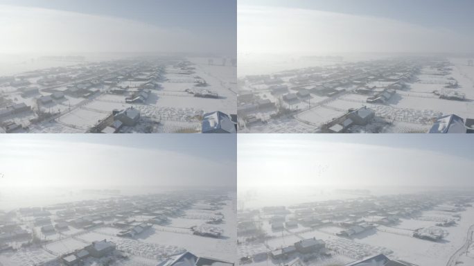 村庄冬天  冬天 农村 雪后  白茫茫