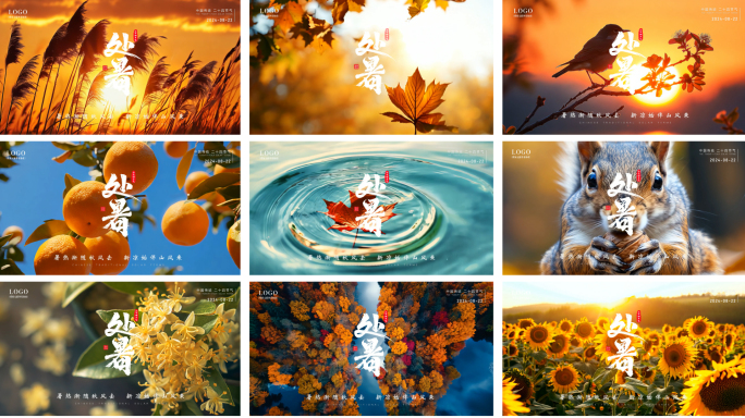 处暑炎热秋天海报节气AE模板