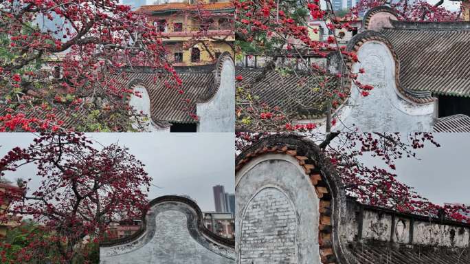 岭南建筑镬耳屋与木棉花航拍素材