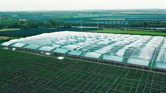 温室大棚蔬菜水果种植