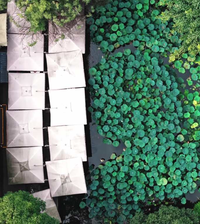 成都人民公园鹤鸣茶楼航拍喝茶