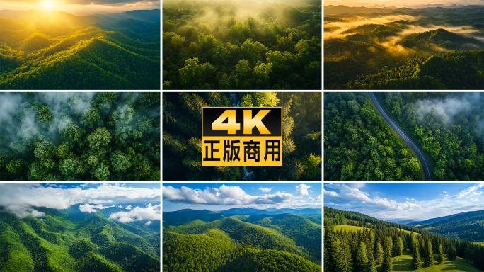 森林高山唯美自然清晨湖泊阳光树林河流公路