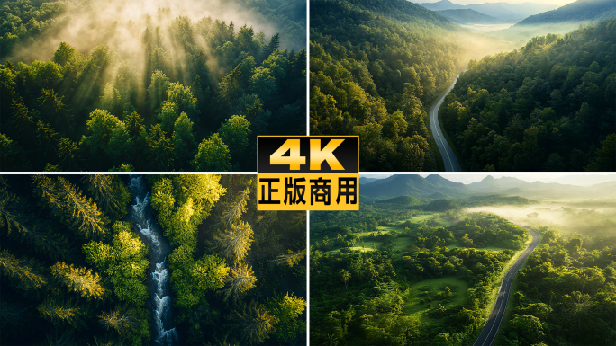 森林高山唯美自然清晨湖泊阳光树林河流公路