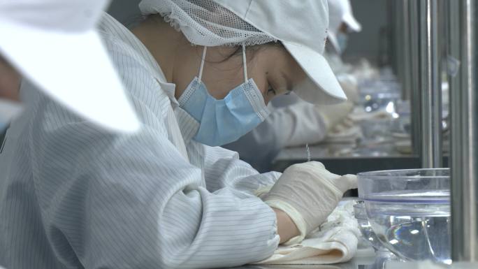 马来西亚毛燕进口加工 燕窝挑毛 燕窝加工