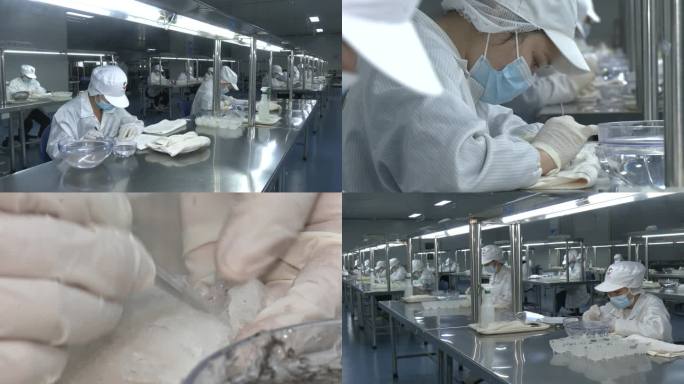 马来西亚毛燕进口加工 燕窝挑毛 燕窝加工