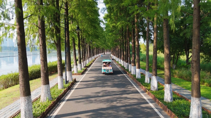 东湖绿道东湖生态旅游风景区骑行航拍武汉