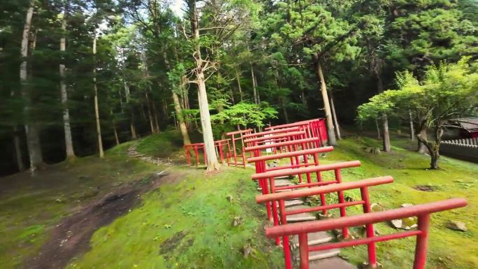 FPV飞过有一排排鸟居门的日本神社