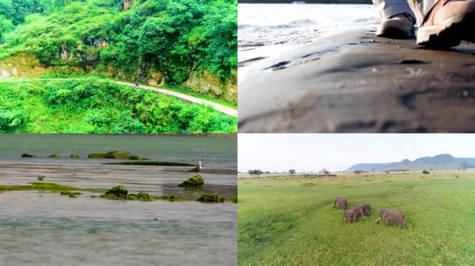 绿色植被 大山 山丘