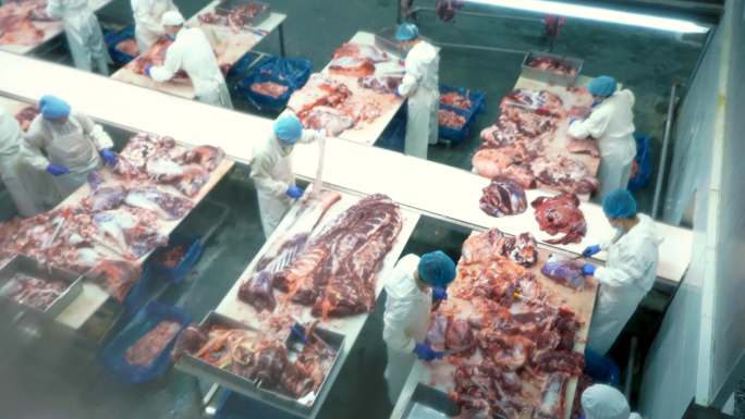 工人在恒温车间进行牛肉分割加工
