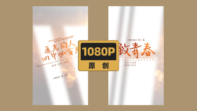 简约文艺光影文字标题片头竖版
