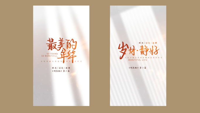 简约文艺光影文字标题片头竖版