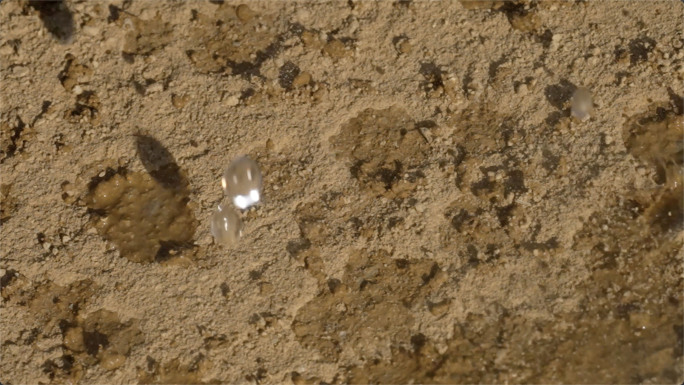 雨滴落地面 雨逐渐下大雨 雨水淋湿地面土
