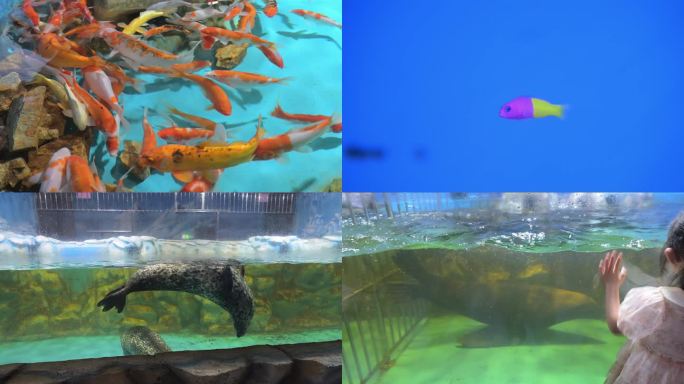 海洋馆素材