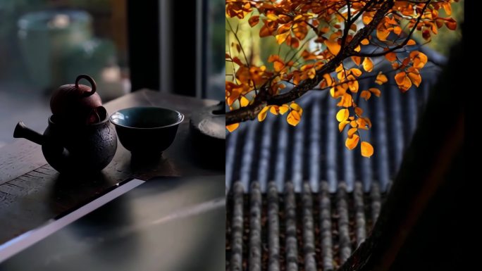 高雅中式茶庭院茶室空间合集4K