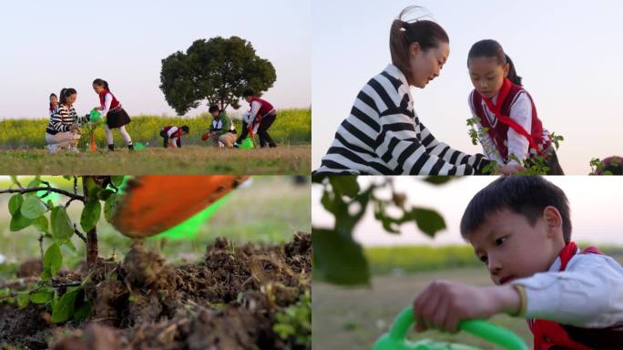 老师带着学生户外植树4k
