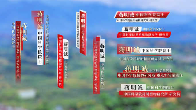 10款简约红色人名条字幕条