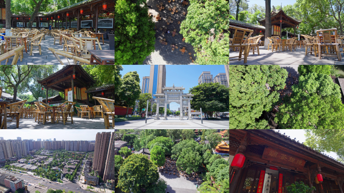 陈锦茶铺 成都铁像寺 成都茶馆