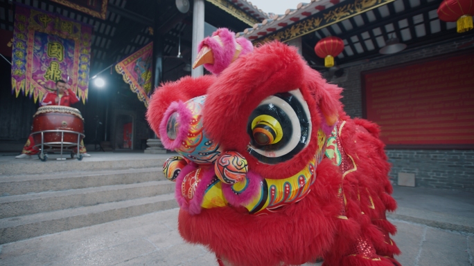 广东舞狮南狮醒狮舞狮训练敲锣打鼓广东非遗