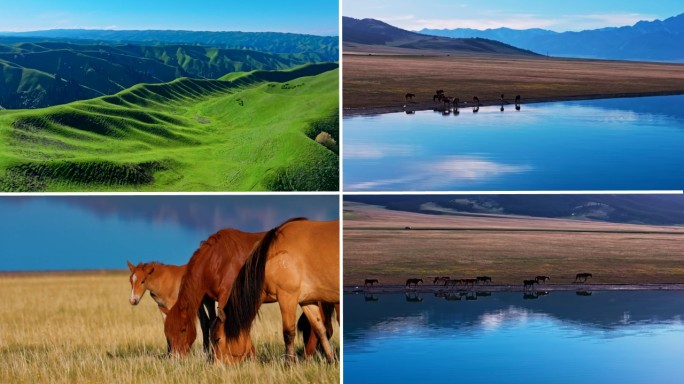 新疆风光航拍 雪山 骏马