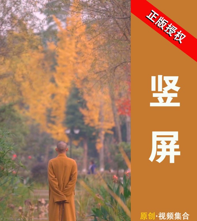 4k竖屏 僧人 和尚背影 禅意
