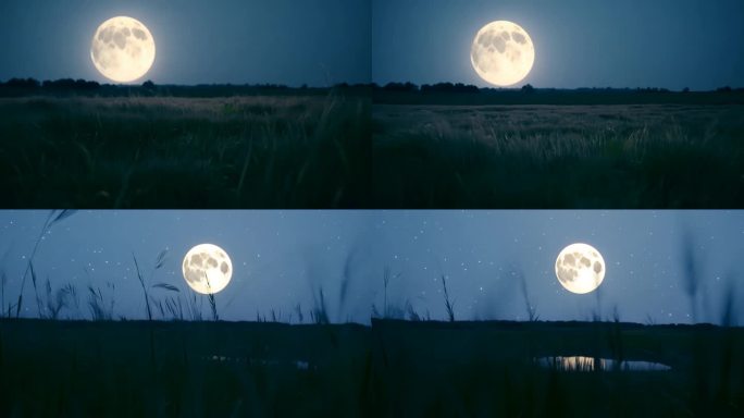 4k月光草原圆月穿梭