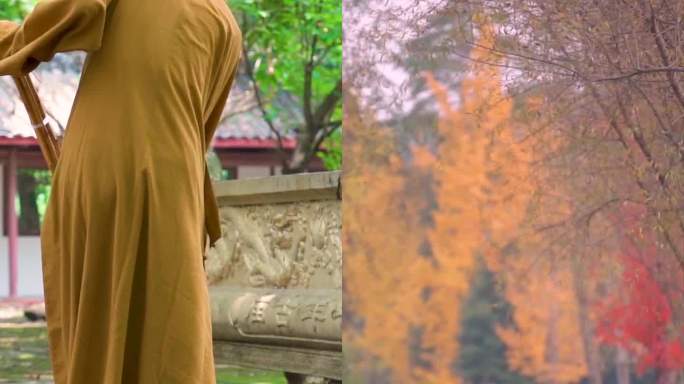 4k竖屏 僧人 和尚背影 禅意 寺庙建筑