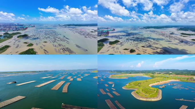 平陆运河出海口终点 龙门大桥