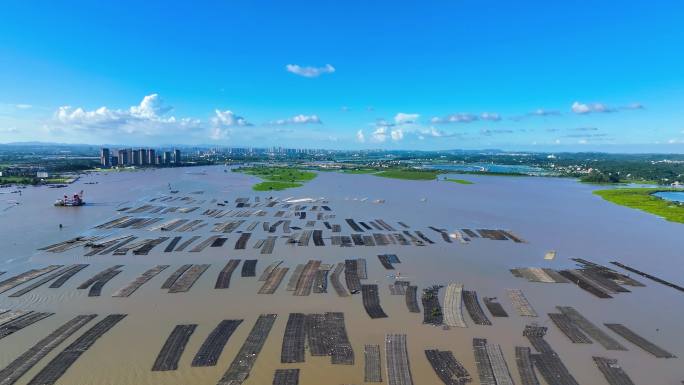 平陆运河龙门大桥出海口